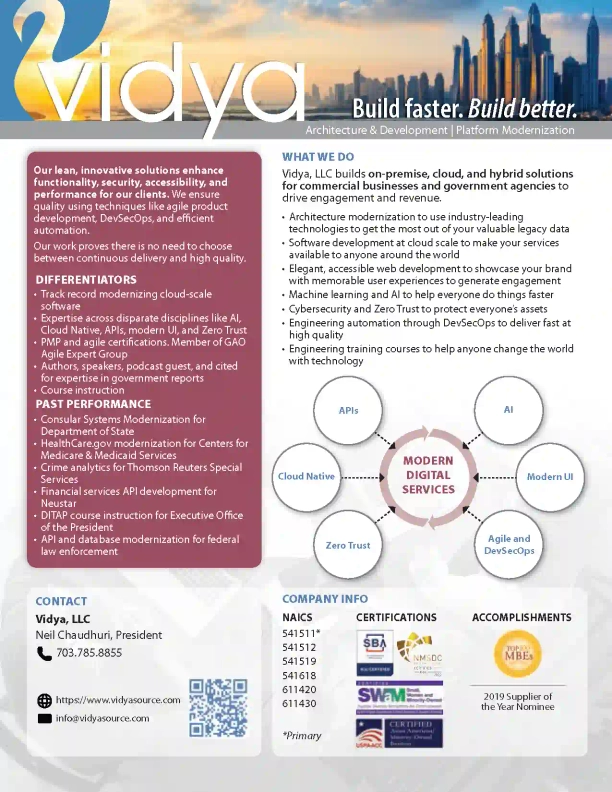 Vidya Capability Statement